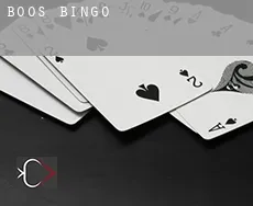 Boos  Bingo