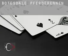 Botesdale  Pferderennen