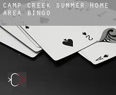 Camp Creek Summer Home Area Bingo