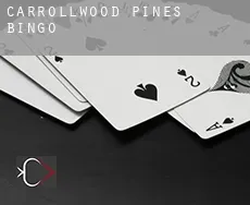 Carrollwood Pines  Bingo