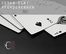 Cedar Flat  Pferderennen