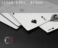 Cedar Fork  Bingo