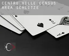 Centre-Ville (census area)  Schlitze