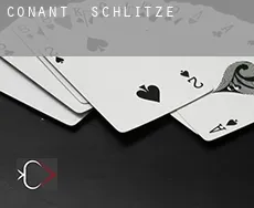Conant  Schlitze