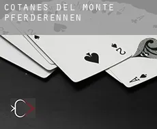 Cotanes del Monte  Pferderennen