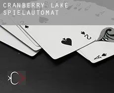 Cranberry Lake  Spielautomat