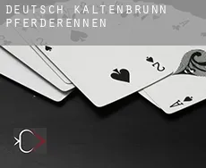 Deutsch Kaltenbrunn  Pferderennen