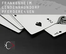 Frankenheim-Lindennaundorf Pferderennen