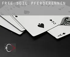 Free Soil  Pferderennen