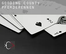 Gooding County  Pferderennen