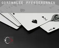 Gortnalee  Pferderennen