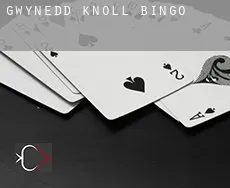 Gwynedd Knoll  Bingo