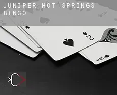 Juniper Hot Springs  Bingo