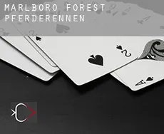 Marlboro Forest Pferderennen