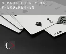 Nemaha County  Pferderennen