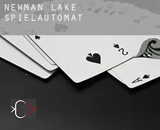 Newman Lake Spielautomat