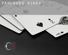 Pancrudo Bingo