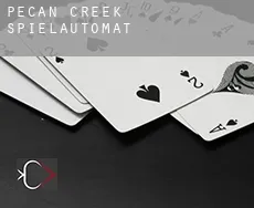 Pecan Creek  Spielautomat
