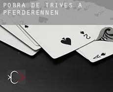 Pobra de Trives (A) Pferderennen