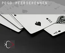 Pogo  Pferderennen