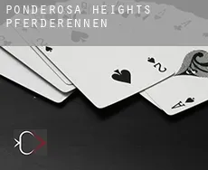 Ponderosa Heights  Pferderennen