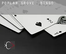 Poplar Grove  Bingo