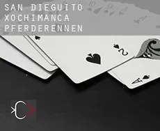 San Dieguito Xochimanca Pferderennen