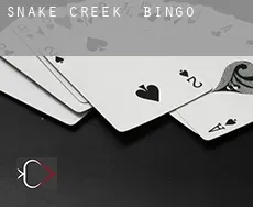 Snake Creek  Bingo