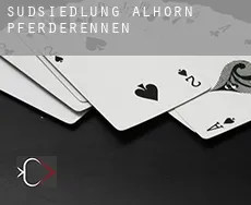 Südsiedlung Alhorn Pferderennen