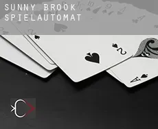 Sunny Brook  Spielautomat