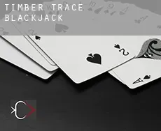 Timber Trace  Blackjack