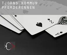 Tjörns Kommun  Pferderennen