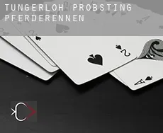 Tungerloh-Pröbsting  Pferderennen