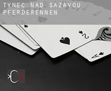 Týnec nad Sázavou  Pferderennen