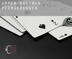 Upper Whitman  Pferderennen