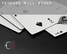 Vaughns Mill  Bingo