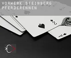Vorwerk Steinberg Pferderennen
