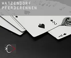 Watzendorf  Pferderennen
