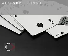 Windsor  Bingo