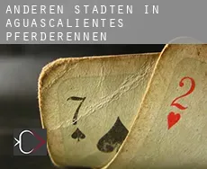 Anderen Städten in Aguascalientes  Pferderennen