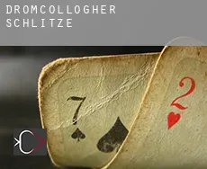 Dromcollogher  Schlitze