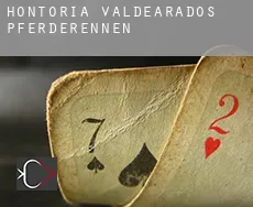 Hontoria de Valdearados  Pferderennen