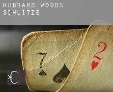 Hubbard Woods  Schlitze