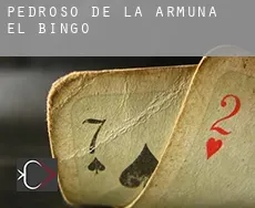 Pedroso de la Armuña (El) Bingo