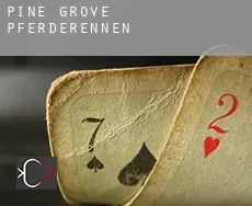 Pine Grove  Pferderennen