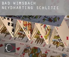 Bad Wimsbach-Neydharting  Schlitze