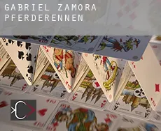 Gabriel Zamora  Pferderennen