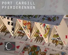 Port Cargill  Pferderennen