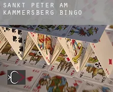 Sankt Peter am Kammersberg  Bingo