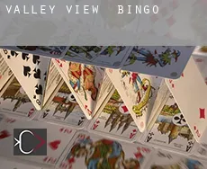 Valley View  Bingo